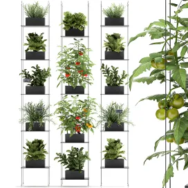 Vertical gardening kitchen